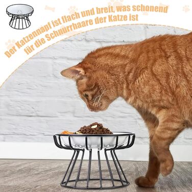 Підвищені годівниці для котів (2 шт.) - металеві миски з підставкою, 15 см, для кошенят та дорослих котів