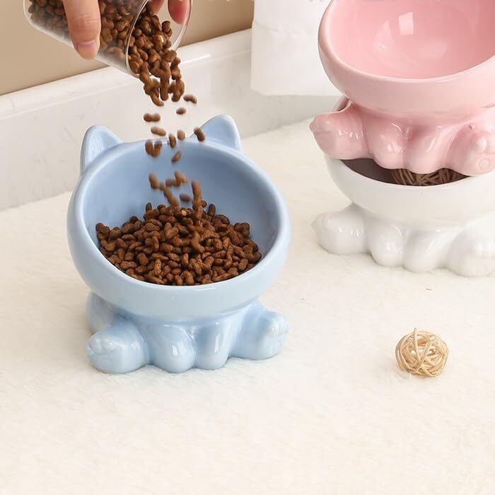 Керамічна годівниця для котів YLWX з підняттям, нахилена, захист шиї, годівниця для котів та собак, керамічна, біла