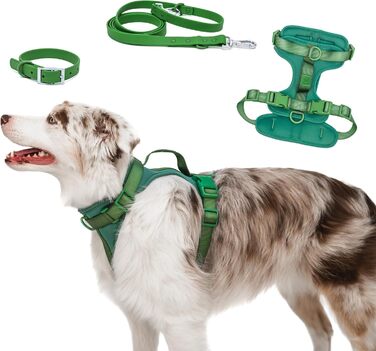 Антизахисна шлейка для собак Easy Walk BearBone з ручкою, повідцем і нашийником, для малих, середніх і великих порід, зелена
