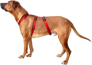 Професійний посуд Wolters Geschirr Professional No Escape, 30-40 см, червоний