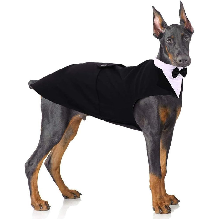 Елегантний костюм для собак: 2 шт. (фліга та бандана), чорний, L