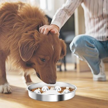 PETTOM Миска для собак протиковтання, нержавіюча сталь, Ø21 см, велика, повільне годування 21*21*4 см