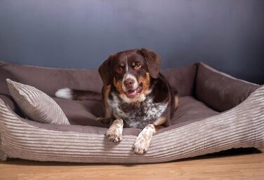 Клітка-лежанка для собак та котів 60x40 см, коричнева, м'яка, зручна, миється, для маленьких собак та кошенят