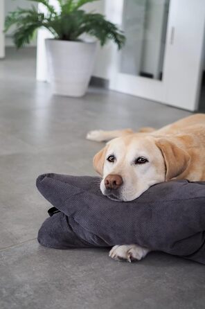 Подушка для собак Lebon Cruto XL - м'яка, для відпочинку та ігор, Made in EU