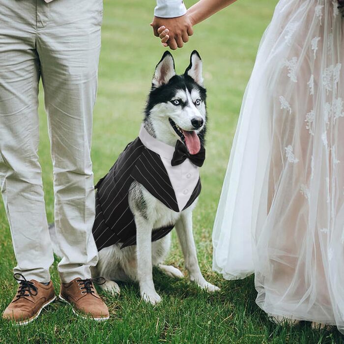 Костюм для собак Kuoser з банданою та краваткою, теплий зимовий, для святкування, вечірки, Хелловін, день народження, S-XXL, смугастий