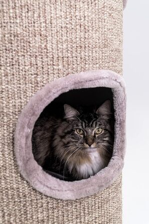 Когтеточка-стовпчик Petrebels Dome 110 см, преміум-якість, чорна, Ø 45 см, широка та важка для максимальної стійкості