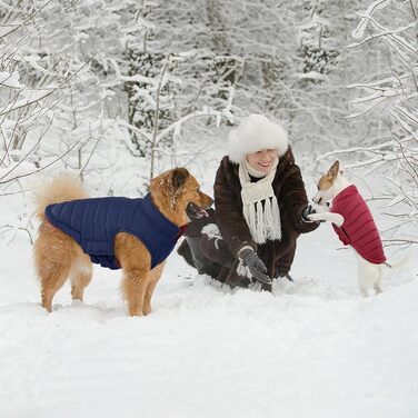 Зимовий теплий водонепроникний одяг для собак великих порід Lelepet, червоний XL