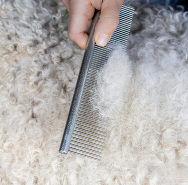 Набір для догляду за шерстю собак та цуценят Mikki: гребінець зі сталі та щітка Slicker з жорстким ворсом. Підходить для порід: пуделів, кокапу, лабрадуділів, кавапу, мальтипу та голден дуділів.