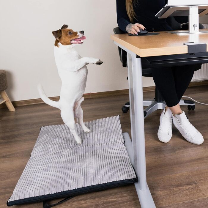 FREUDENTIER Килимок для собак на вулицю, складний | З м'якою поверхнею з штучної шкіри з корду | Легко миється, водо- та брудовідштовхуючий | Для подорожей, Made in EU (75x60 см)