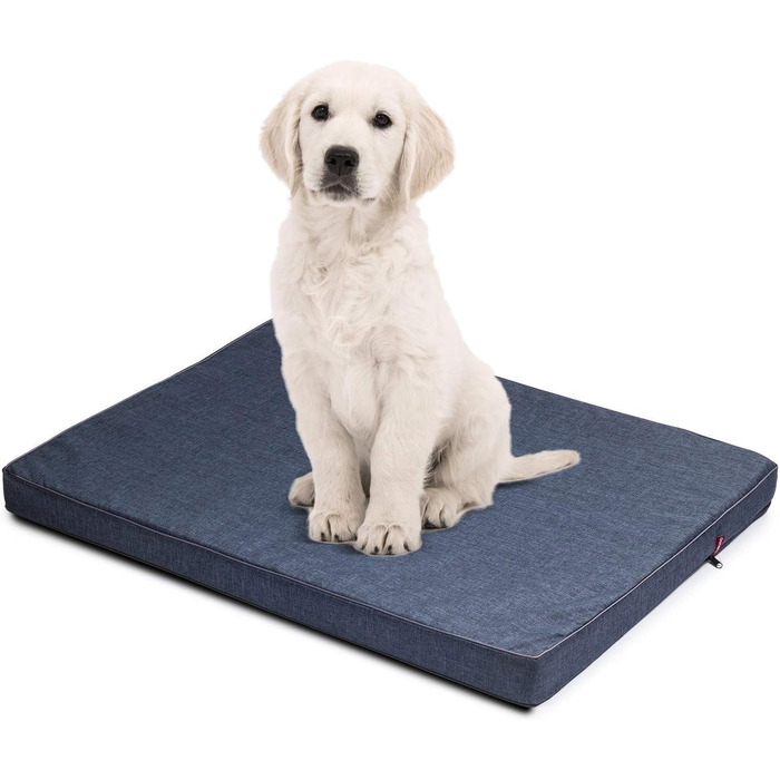 Матрац для собак | 100 x 75 x 6 см | Собаче ліжко, подушка, матрац для великих та маленьких собак | Codura, зручний, стильний, можна прати | Колір: блакитний