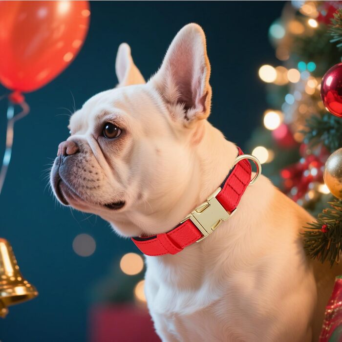 Нашийник для собак Didog з нейлону, м'який, з металевою застібкою, для великих, середніх собак, чорний, M (розмір S: 25-38 см)