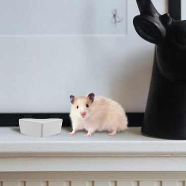 Керамічна годівниця для тварин PATKAW: миски для хом'яків, морських свинок, їжаків, білих тварин