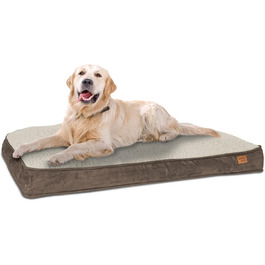 колір: браун