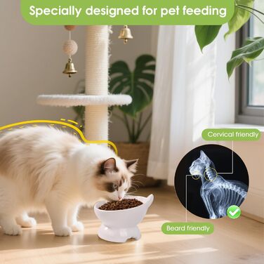 Набір мисок для котів (2 шт.), підняті, з захистом шиї, 15° нахил, кераміка, для корму та води - білий