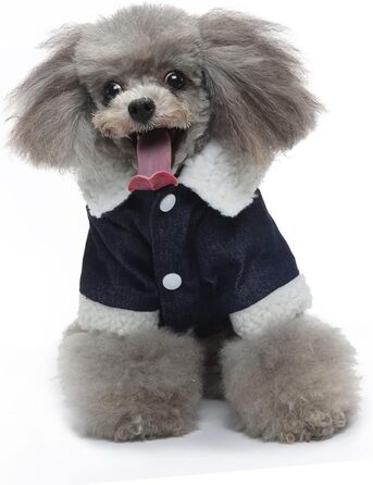 Зимовий теплий водонепроникний одяг для собак ERINGOGO (XXL, Бежевий)