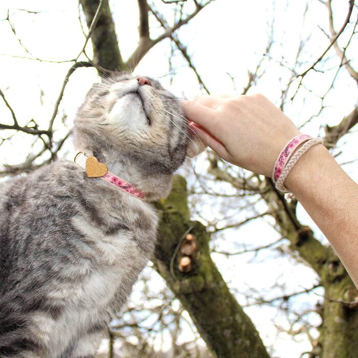 Pettsie нашийник для кішок з безпечним замком і дерев'яним сердечком, рожевий, регульований 20,3-28 см, дружній браслет, бавовна, D-кільце