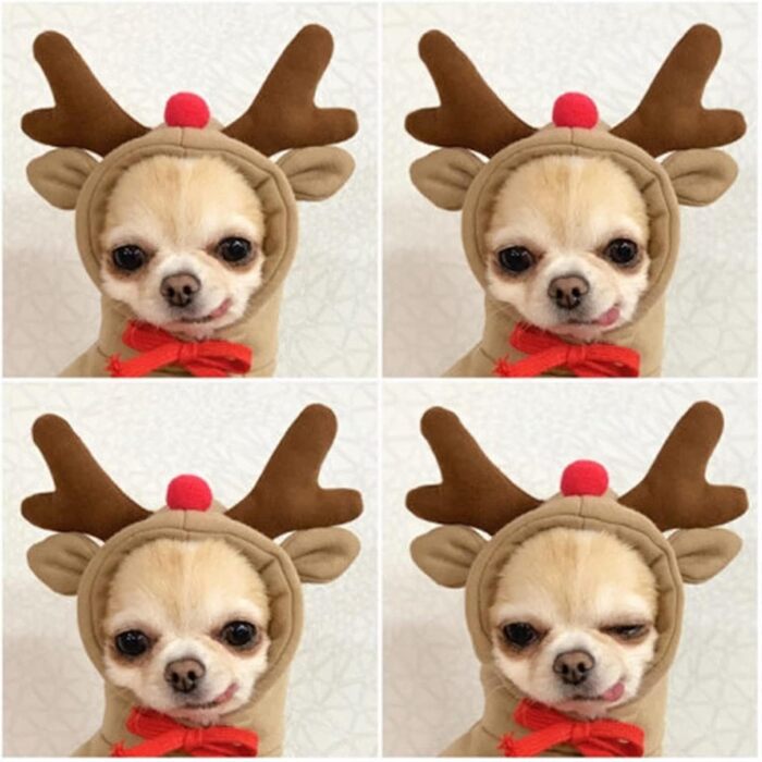 Теплий зимовий одяг для собак, милий халат для собак, худі з капюшоном, фліс, костюм для обіймів, куртка для Французького бульдога, Чихуахуа, одяг для собак, розмір (кава, M)