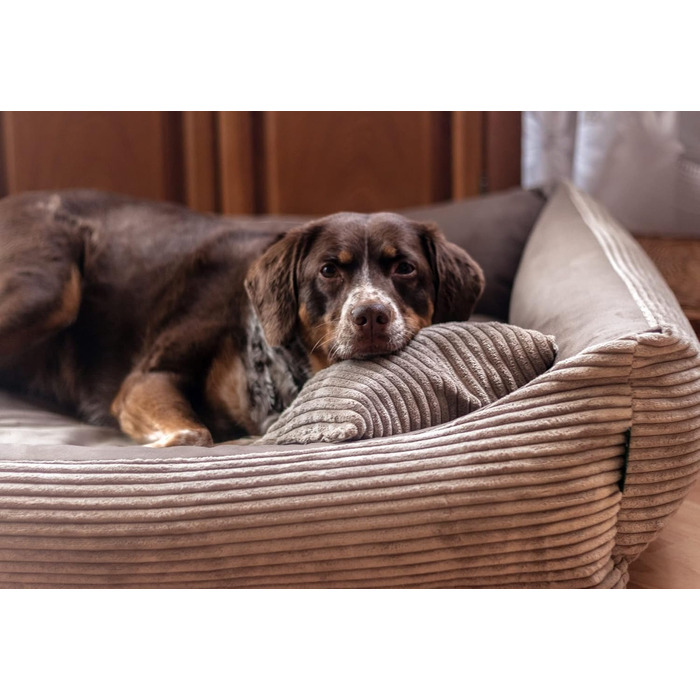 Клітка-лежанка для собак та котів 60x40 см, коричнева, м'яка, зручна, миється, для маленьких собак та кошенят