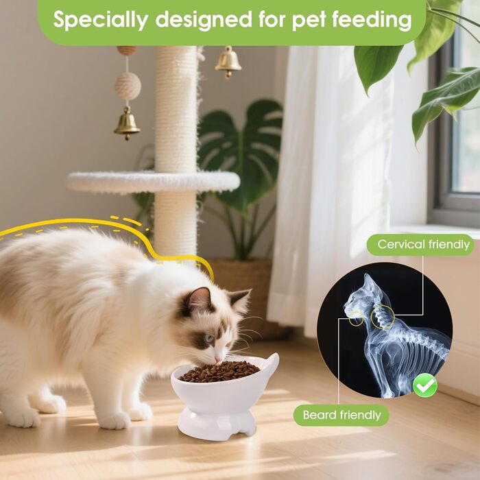 Набір мисок для котів (2 шт.), підняті, з захистом шиї, 15° нахил, кераміка, для корму та води - білий