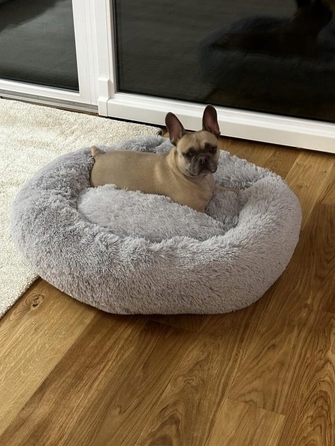 Плюшева лежанка-подушка для собак, сіра, 80 x 80 см