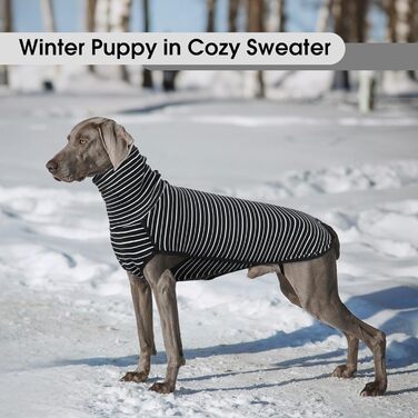 Теплий флісовий пуловер для собак, чорний, розмір S. Зручний зимовий одяг для маленьких, середніх та великих собак. Ідеальний для прогулянок у холодну погоду.