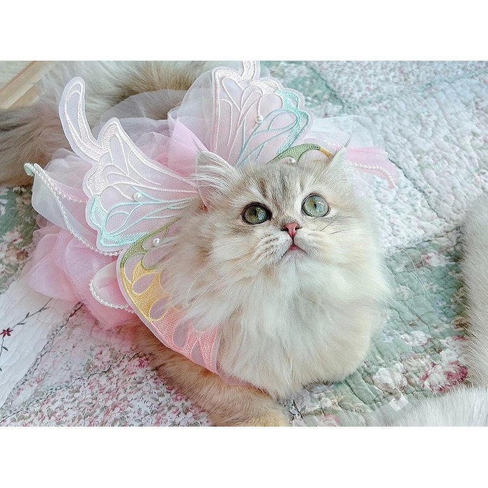 Сукня для собак 