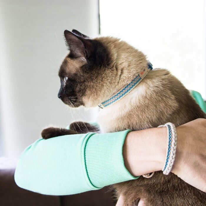 Pettsie нашийник для котів із безпечним замком і браслетом дружби, міцна бавовна, регульований 12,7-20,3 см, синій, D-кільце для аксесуарів