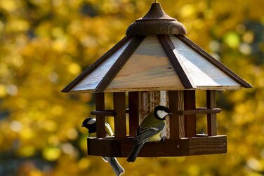 Дім для птахів Dobar® 21391e з годівницею, з дерева, камуфляж, 35x35x29 см