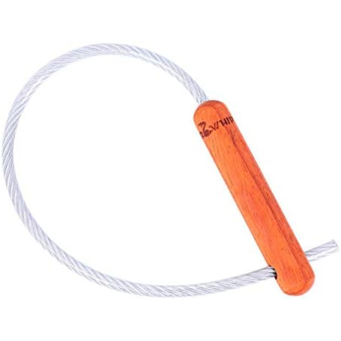 Бич для собак, дресирування, захист: біг, трюки, безпека