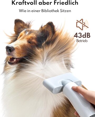 Ультрасушар для собак HomeRunPet Ultraleiser - професійний фен для грумінгу, 99 швидкостей та регулювання температури, 3 насадки