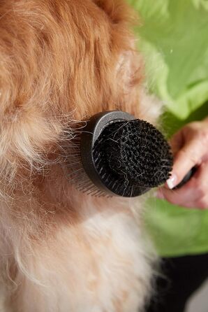 Ножиці для стрижки собак та котів Andis 6.5' Thinning Shears, професійні, правша, (80645)