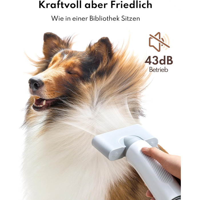 Ультрасушар для собак HomeRunPet Ultraleiser - професійний фен для грумінгу, 99 швидкостей та регулювання температури, 3 насадки