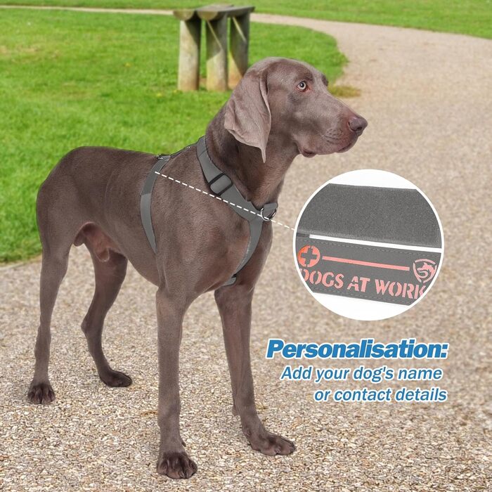 Шлейка для собак FeimaX великих порід, тактична, не тягне, дихаюча, комфортна (XL, сіра)