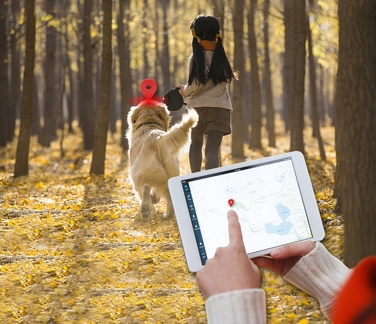 GPS-нашийник локатор TK909 для собак та котів, SOS, керування через додаток, без абонплати