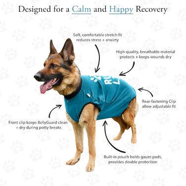 Захисний боді для собак після операції (кастрація/стерилізація), альтернатива комірцю, блакитний, 2XL