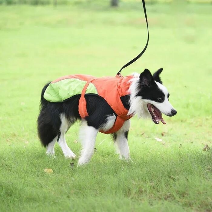 Тепла куртка для великих собак на осінь та зиму, водонепроникна, для прогулянок, для Французького бульдога