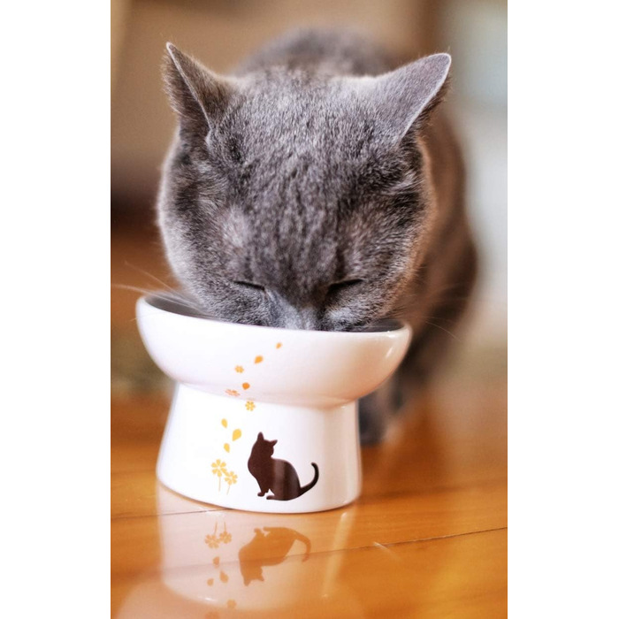 Підвищений миска для котів з порцеляни, запобігає зворотному потоку, антистрес, для котів середніх розмірів, безпечний вибір для вашого улюбленця, підходить для вологого та сухого корму