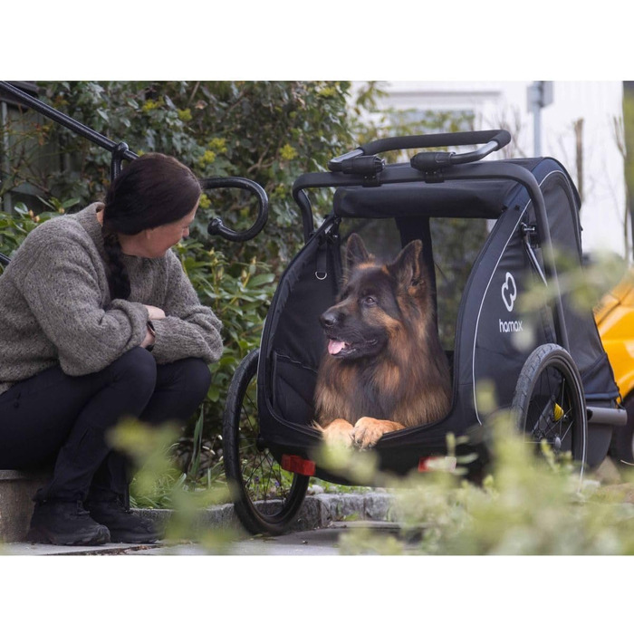 Haax Pluto: Амулет для собак, зелений (L, Чорний)