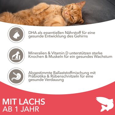 Сухий корм для котів IAMS з лососем для дорослих від 1 до 6 років, 10 кг