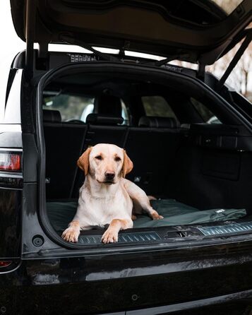 Лежанка для собак та цуценят Danish Design County Green, водонепроникна, розмір M, 86x69x3 см