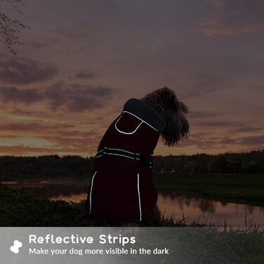 Водонепроникний зимовий одяг для собак, тепла вітрозахисна куртка для собак, антисні захисний костюм для мисливських собак (червоний, XL) XL B-Red