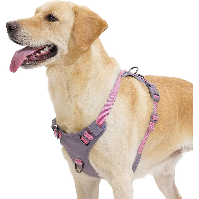 Шлейка для собак Huntboo Anti-Zug для малих, середніх та великих собак, непрогульна, з світловідбиваючими елементами та 2 карабінами, регульована для тренувань та бігу (M), рожева