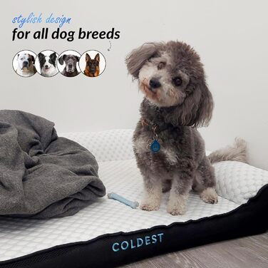 Охолоджувальне ліжко для собак Coldest Cozy, середнє, сіре – знімний та праний чохол, нековзке, для малих і середніх порід