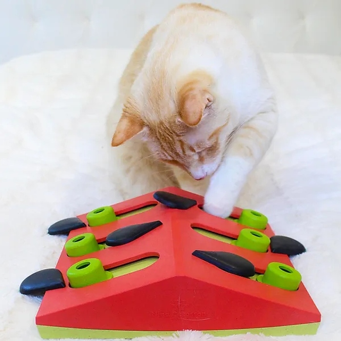 Інтерактивна головоломка для котів Nina Ottosson Cat Puzzle Play — Melon Madness