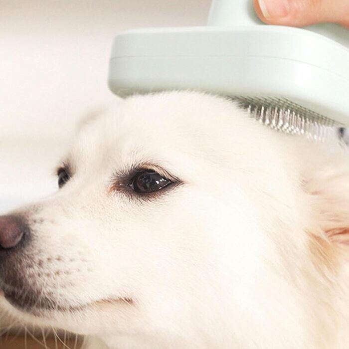 Професійна щітка для тварин Pet Ion Brush з подвійним іонним генератором: самоочисна щітка для собак та котів, м'яке розплутування шерсті та підшерстка, для короткої та довгої шерсті (зелена)