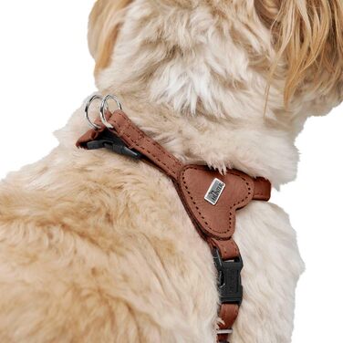 Нашийник для собак HUNTER SOHO MINI, колір: коричневий (cognac), з натуральної шкіри, м'який, не травмує шерсть, легкий, для маленьких собак та цуценят, Made in Germany, розмір XXS-XS/2