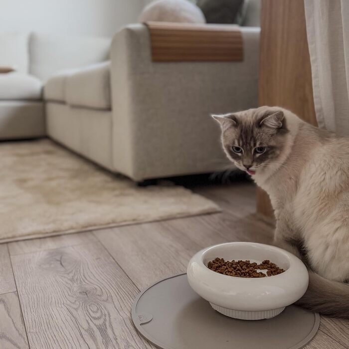 Котло propositionsний набір LucyBalu® MYCO: миска для корму та води для котів з кераміки | Пряма миска для котів | Біла миска для води та корму | Якісний котячий набір