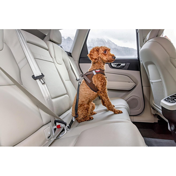 Ремінь безпеки для автомобіля V2 L Large