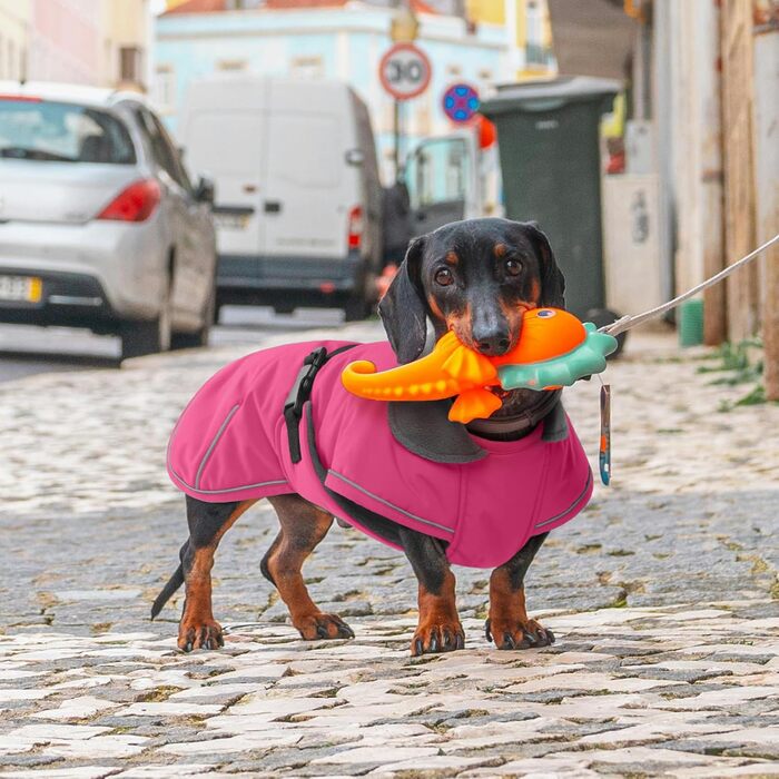 Зимовий теплий дощовик для собак Такса (M), рожевий. Захист від вітру та вологи, з отвором для повідка. Тепла куртка для собак великих порід.