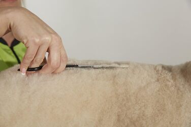 Ножиці для стрижки собак та котів Andis 6.5' професійні, правша, розріджуючі (80645)